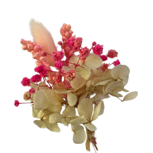 Mini Dried Flowers Wholesale | Real Preserved Flowers